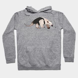 Tamandua cartoon illustration Hoodie